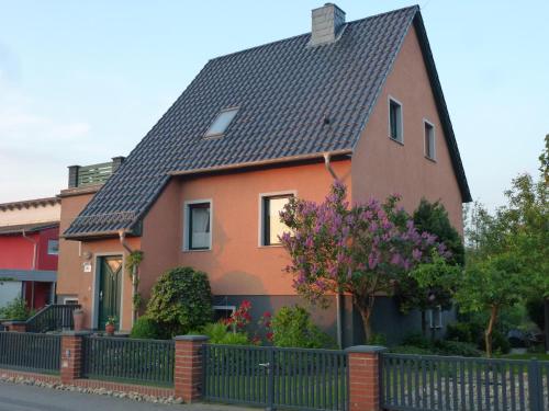 a house with a black roof at Seeblick Kemnitz in Werder
