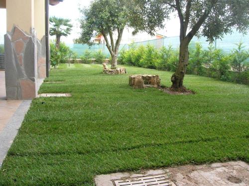 a yard with green grass and trees and a building at B&B S'Ena in Suni