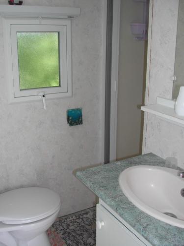 een badkamer met een toilet, een wastafel en een raam bij mobil home dordogne in Mouzens