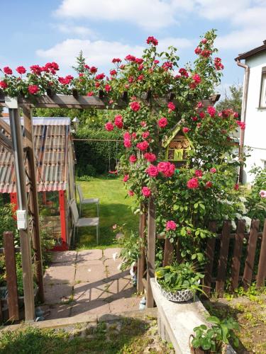 a garden with roses on a wooden fence at Ferienwohnung Wendehake in Quedlinburg