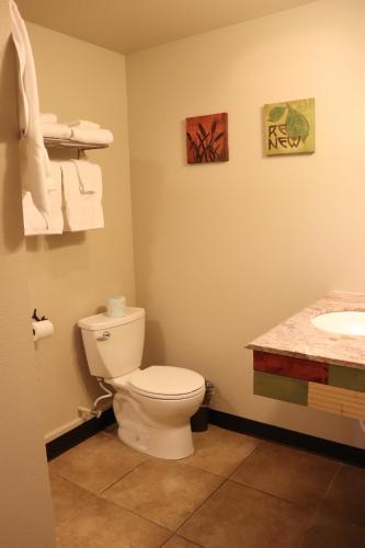 a bathroom with a toilet and a sink at Lone Fir Resort in Cougar