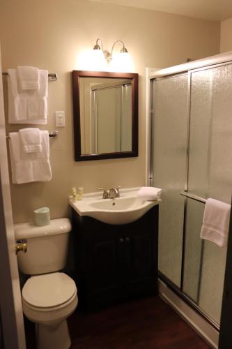 a bathroom with a toilet and a sink and a shower at Lone Fir Resort in Cougar