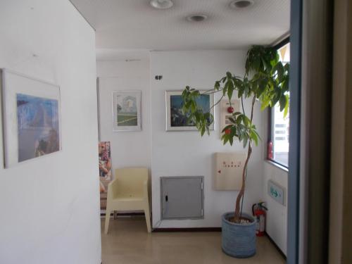 a room with a potted plant and a chair at Hotel Avanti in Tokushima