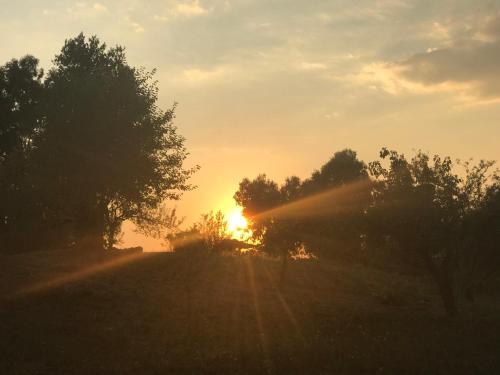 um pôr-do-sol numa colina com árvores num campo em La villetta dei sogni nel Parco em Roma