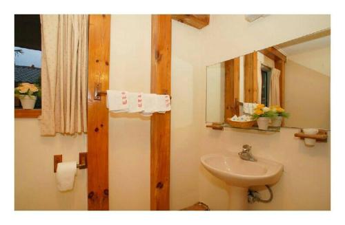 a bathroom with a sink and a mirror at Taitung Garden Cabin in Taitung City