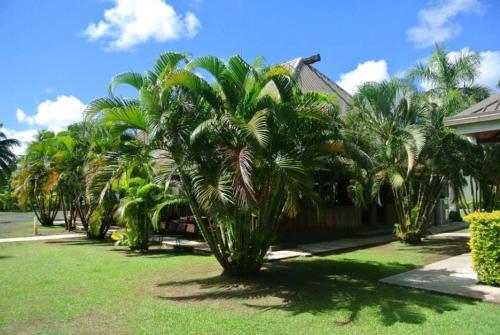 uma fila de palmeiras em frente a uma casa em The Friendly North Inn em Labasa