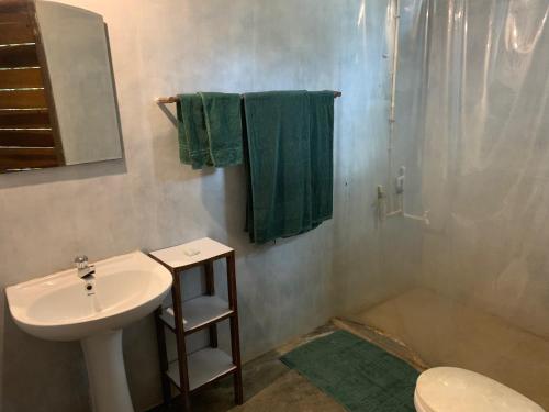 Polwaththa Eco Lodges في ديغانا: حمام مع حوض ودش ومرحاض