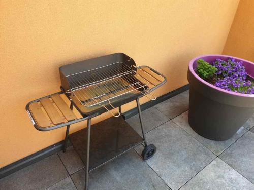 Gallery image of Maison / villa complète à 5 minutes de Colmar in Ingersheim