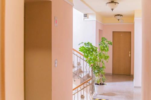 Foto de la galeria de Apartments Iris69 a Varna