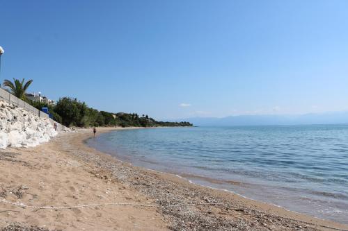 a beach with a person walking on the shore at 5 meters from the beach in Chrani
