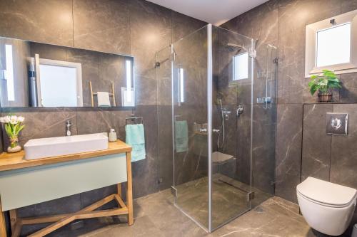 a bathroom with a shower and a toilet and a sink at The suite in Eilat