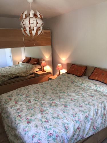 Appartement face aux Glaciers & Mont-Blanc