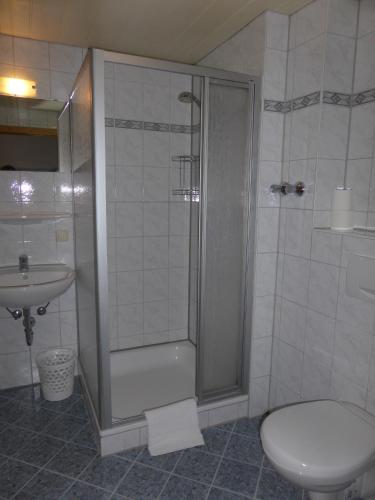 a bathroom with a shower and a toilet and a sink at Gasthaus - Pension - Café Dörfl in Kiefersfelden