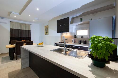 Apartment Svemir