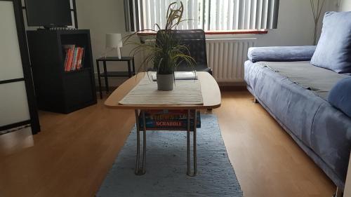 a living room with a table with a potted plant on it at BnbMarlies in Oorsbeek