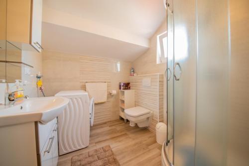 a bathroom with a sink and a toilet and a shower at Apartman Eva in Vrsi