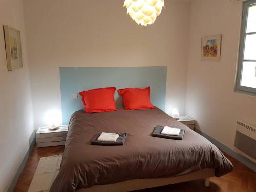 a bedroom with a large bed with red pillows at Gîte Caves de Beauval (à 100m du zooparc !) in Saint-Aignan