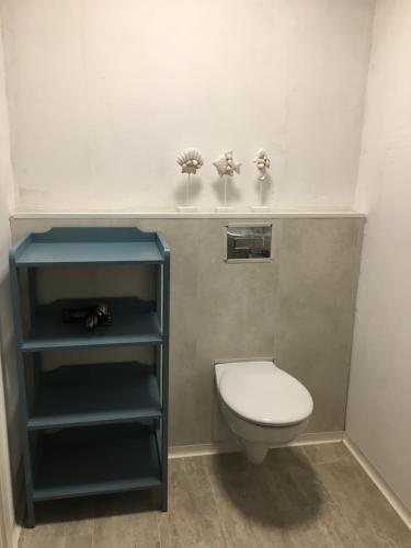 a bathroom with a toilet and a blue shelf at Marijanas Ferienhof 2, Urlaub mit viel Platz zwischen Dornumersiel und Bensersiel, gehört zum Café Kunterbunt in Holtgast
