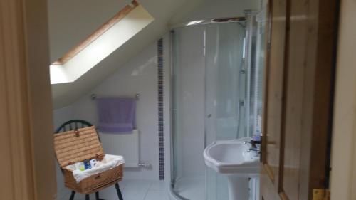 uma casa de banho com um chuveiro e um lavatório. em Whitethorn Lodge, Bed & Breakfast, Lackafinna em Cong