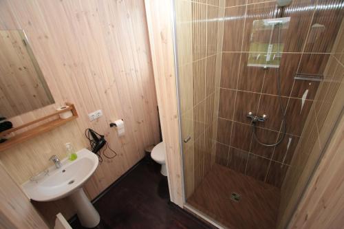 a bathroom with a shower and a sink and a toilet at Ostrivky in Svityazʼ