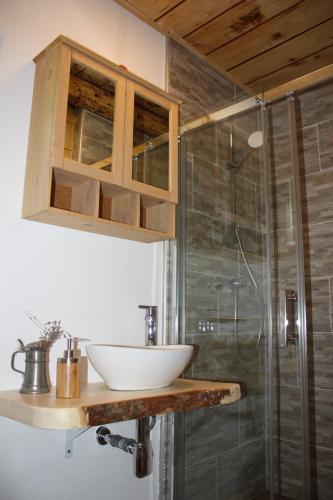 a bathroom with a sink and a shower at Blockhütte Radmer in Radmer an der Hasel