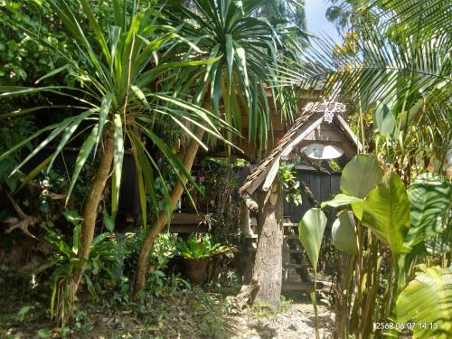 Baan Suan Jantra Home Stayにある庭