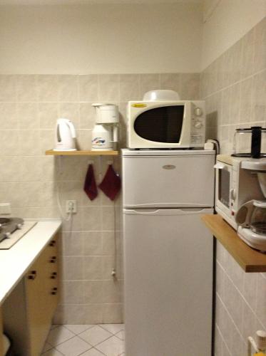 a kitchen with a microwave on top of a refrigerator at Ubytování Zmatlíková in Pec pod Sněžkou