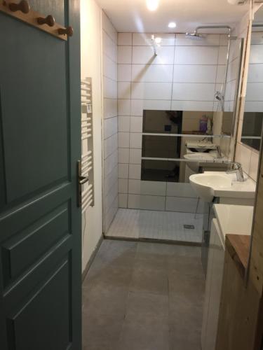 ein Bad mit einer Dusche, einem Waschbecken und einer Tür in der Unterkunft APPT T2 PROCHE PLAGE in Plouharnel