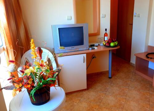 スヴェティ・ヴラスにあるFamily Hotel Rosiのトイレ、テレビ、花瓶が備わる客室です。