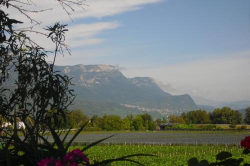 a mountain in the distance with a field and flowers at Dependance Villnerhof in Egna