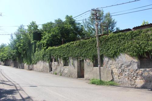 a stone wall with ivy on it next to a street at Zarzma in Kutaisi