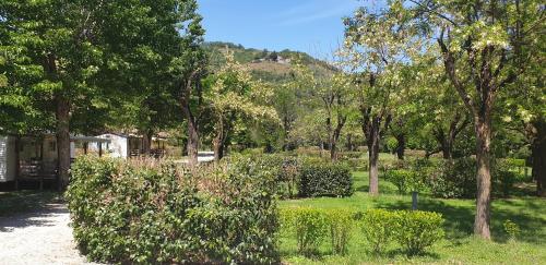 a garden with bushes and trees in a park at Camping Avec Piscine et Rivière à Tournon sur Rhône Ardèche "Les Foulons" in Tournon-sur-Rhône