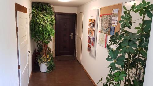 Gallery image of 18steps in Loket