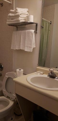 Un baño de Niagara Inn