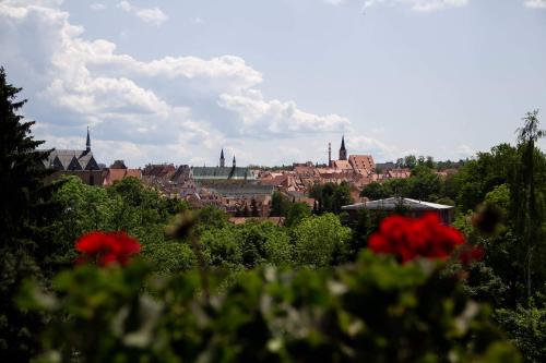 a view of a city with red flowers in the foreground at Penzion Na Svahu in Cheb