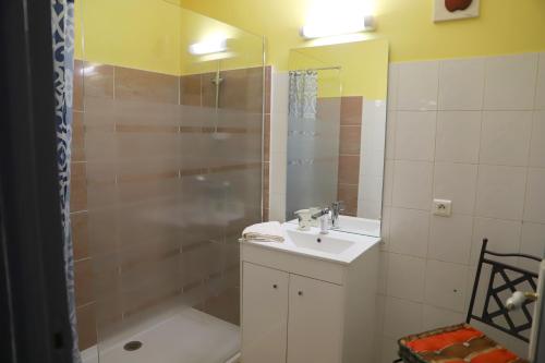uma casa de banho com um lavatório e um chuveiro em Mas de Bellegou em Portiragnes