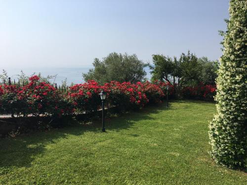 Φυσικό τοπίο κοντά σε αυτό το ξενοδοχείο