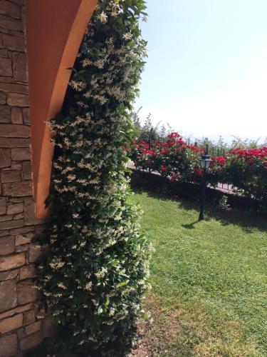 Κήπος έξω από το Belvedere Hotel & Villa