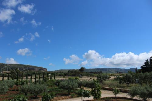 a view of a vineyard with trees and a blue sky at Baglio Mazzara in Custonaci