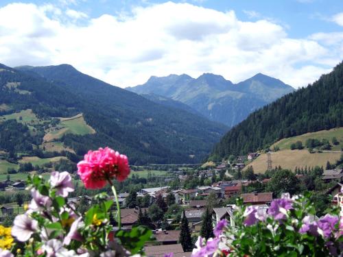 a view of a mountain valley with a pink flower at Ferienhaus Sonnenhang in Matrei in Osttirol