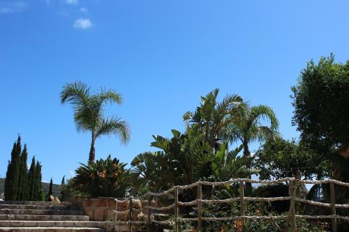 a group of palm trees and stairs with a fence at Baglio Mazzara in Custonaci