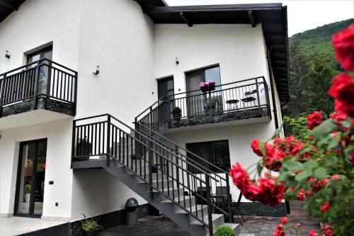 a white building with balconies and red flowers at Casa AQUARIUS in Caciulata