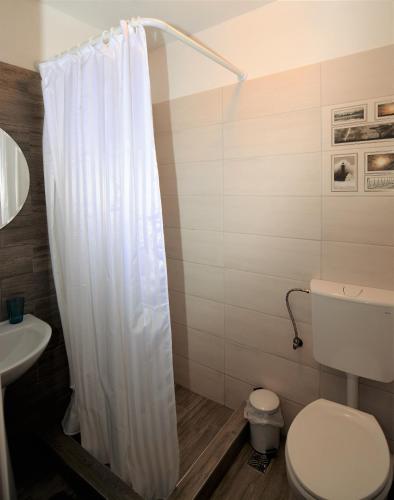 a bathroom with a toilet and a shower curtain at Casa AQUARIUS in Caciulata