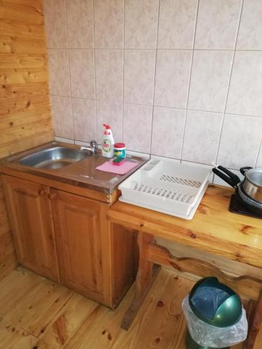 a kitchen with a sink and a laptop on a table at Kempings Mežmalas in Usma