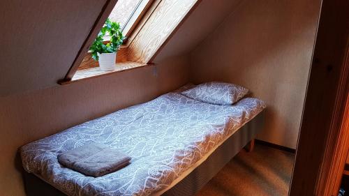 a small bed in a small room with a window at Sænehus Husmandssted in Allinge