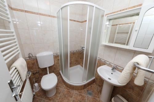 uma casa de banho com um chuveiro, um WC e um lavatório. em Ribičić Guesthouse em Brela