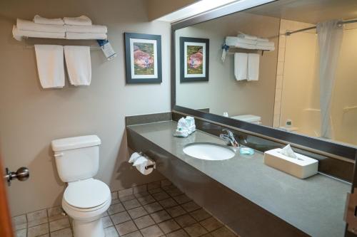 a bathroom with a sink and a toilet and a mirror at Pocaterra Inn & Waterslide in Canmore