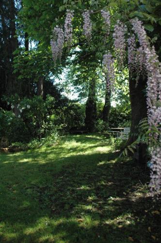 Taman di luar Le Nid des Oiseaux