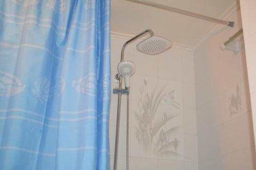 a shower with a blue shower curtain in a bathroom at Amaril in Platanes