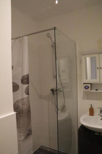 a glass shower in a bathroom with a sink at Pension Isartal in Geretsried